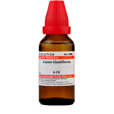 https://cdn.shopify.com/s/files/1/1857/6931/products/Dr.WillmarSchwabeIndiaCactusGrandiflorusDilution7.png?v=1621672888